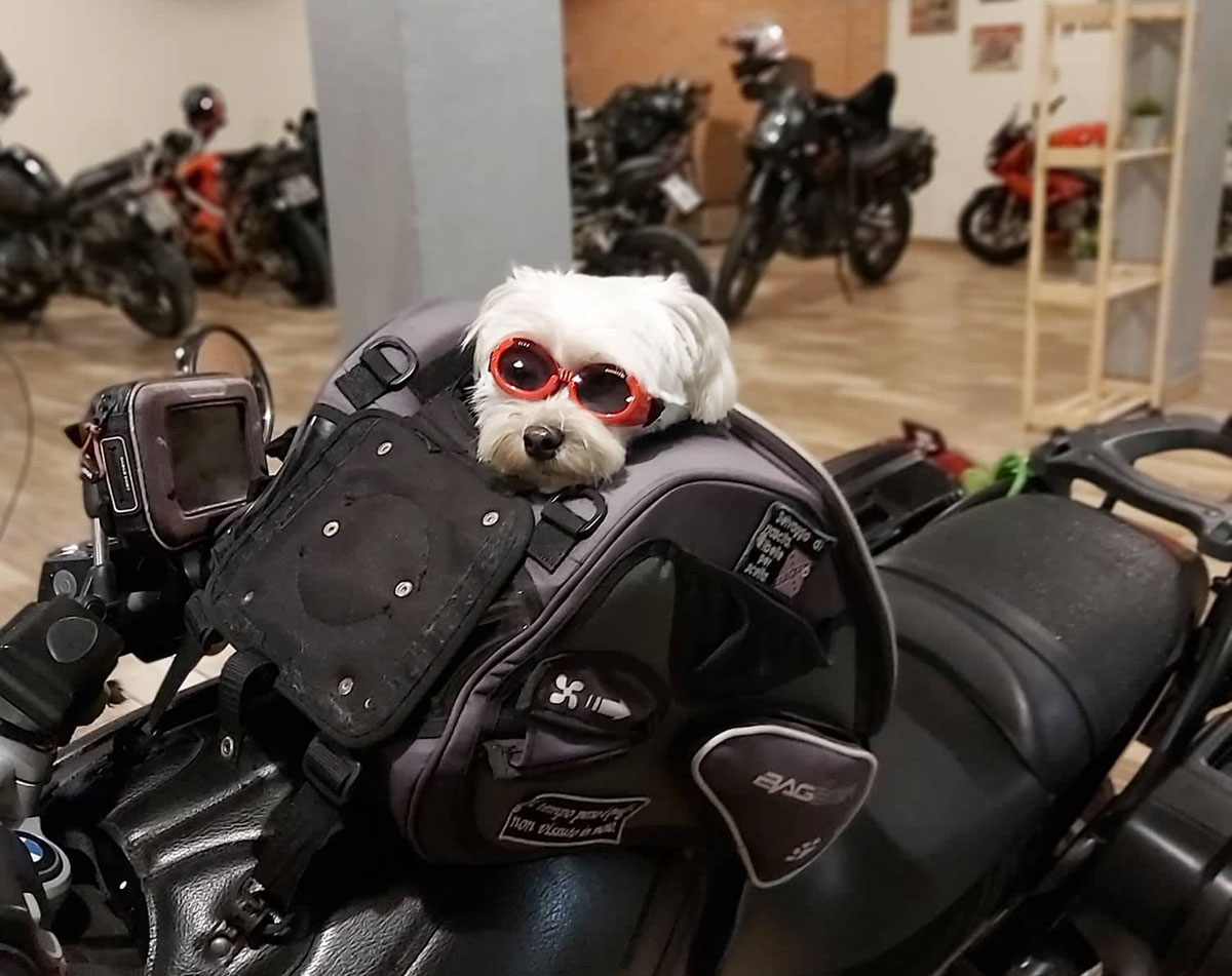 Pedro in moto all'Hotel Napoleon